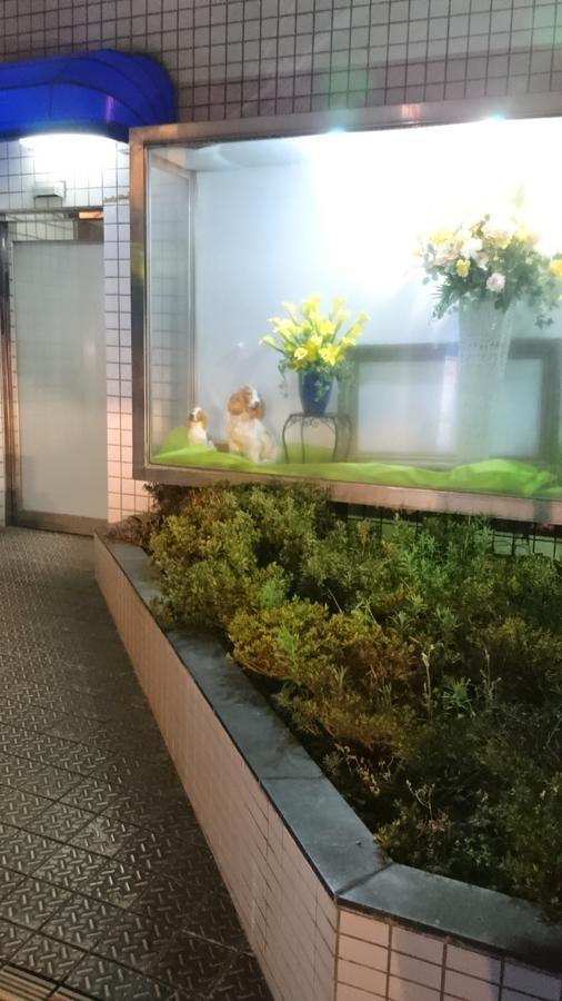 Hotel Loire (Adults Only) Osaka Zewnętrze zdjęcie